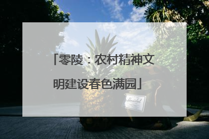 零陵：农村精神文明建设春色满园