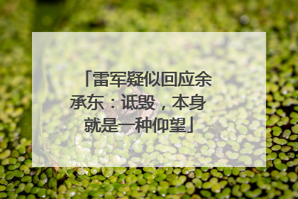 雷军疑似回应余承东：诋毁，本身就是一种仰望