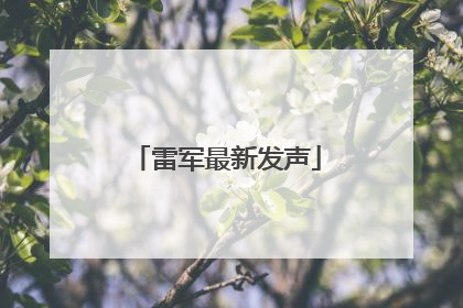 雷军最新发声