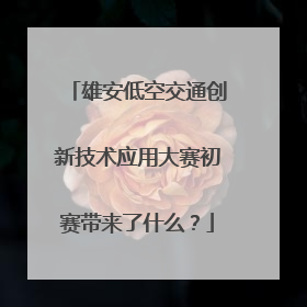 雄安低空交通创新技术应用大赛初赛带来了什么？