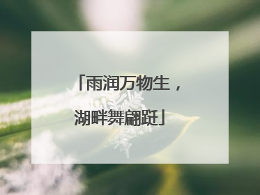雨润万物生，湖畔舞翩跹