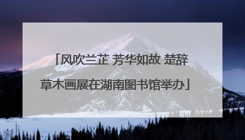 风吹兰芷 芳华如故 楚辞草木画展在湖南图书馆举办