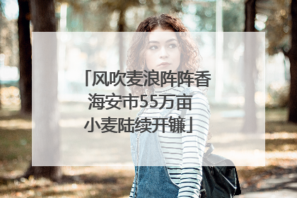 风吹麦浪阵阵香 海安市55万亩小麦陆续开镰