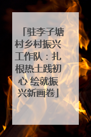 驻李子塘村乡村振兴工作队：扎根热土践初心 绘就振兴新画卷
