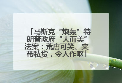 马斯克“炮轰”特朗普政府“大而美”法案：荒唐可笑、夹带私货，令人作呕