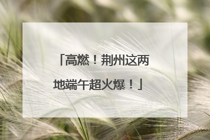 高燃！荆州这两地端午超火爆！