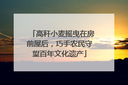 高秆小麦摇曳在房前屋后，巧手农民守望百年文化遗产