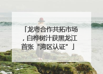 龙粤合作共拓市场，白桦树汁获黑龙江首张“湾区认证”