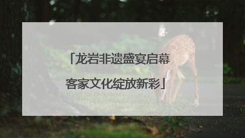 龙岩非遗盛宴启幕 客家文化绽放新彩
