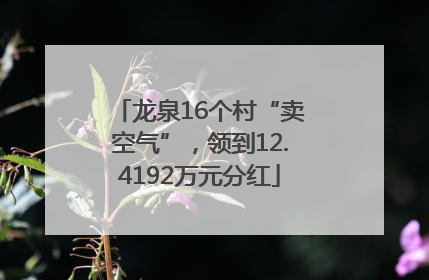 龙泉16个村“卖空气”，领到12.4192万元分红