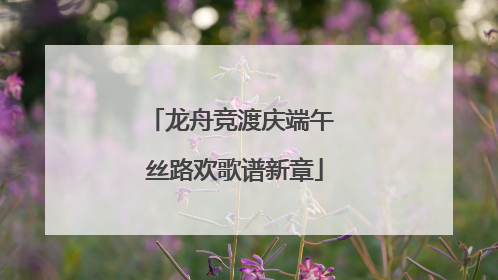 龙舟竞渡庆端午 丝路欢歌谱新章