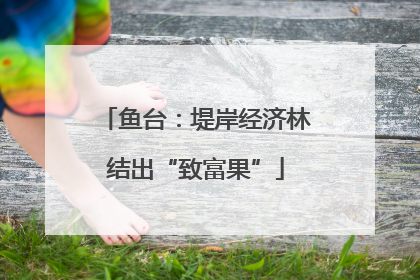 鱼台：堤岸经济林结出“致富果”