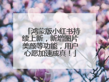 鸿蒙版小红书持续上新，新增图片美颜等功能，用户心愿加速成真！