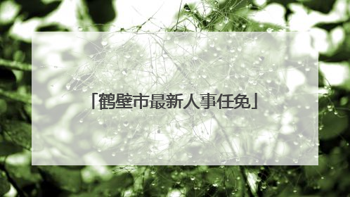 鹤壁市最新人事任免