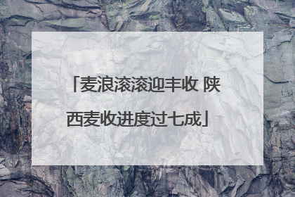 麦浪滚滚迎丰收 陕西麦收进度过七成