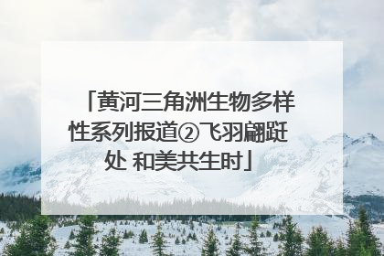 黄河三角洲生物多样性系列报道②飞羽翩跹处 和美共生时