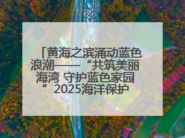 黄海之滨涌动蓝色浪潮——“共筑美丽海湾 守护蓝色家园”2025海洋保护净滩活动暨“美丽江苏—江河湖海青蓝行”海洋篇在连云港举行