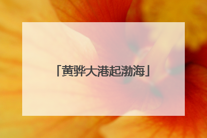 黄骅大港起渤海