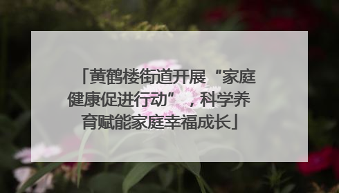 黄鹤楼街道开展“家庭健康促进行动”，科学养育赋能家庭幸福成长