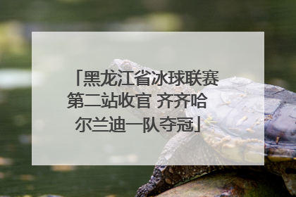黑龙江省冰球联赛第二站收官 齐齐哈尔兰迪一队夺冠