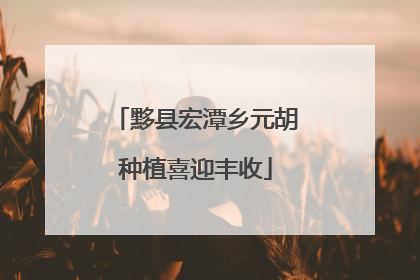 黟县宏潭乡元胡种植喜迎丰收