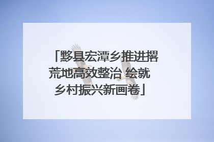 黟县宏潭乡推进撂荒地高效整治 绘就乡村振兴新画卷