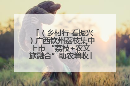 （乡村行·看振兴）广西钦州荔枝集中上市 “荔枝+农文旅融合”助农增收