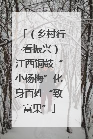（乡村行·看振兴）江西铜鼓“小杨梅”化身百姓“致富果”