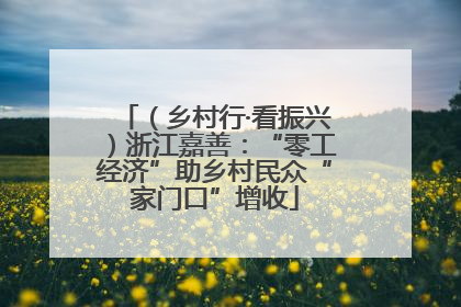 （乡村行·看振兴）浙江嘉善：“零工经济”助乡村民众“家门口”增收