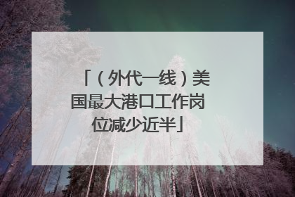 （外代一线）美国最大港口工作岗位减少近半