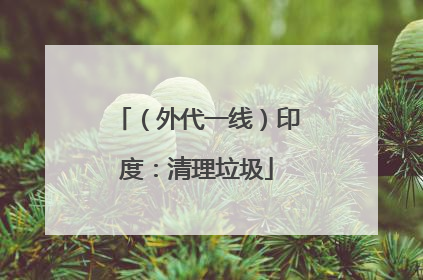 （外代一线）印度：清理垃圾