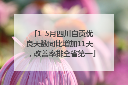 1-5月四川自贡优良天数同比增加11天，改善率排全省第一