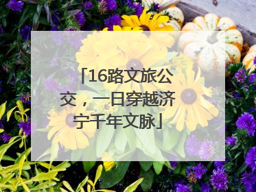 16路文旅公交，一日穿越济宁千年文脉