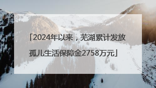 2024年以来，芜湖累计发放孤儿生活保障金2758万元