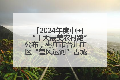 2024年度中国“十大最美农村路”公布，枣庄市台儿庄区“鲁风运河”古城文化廊道上榜！