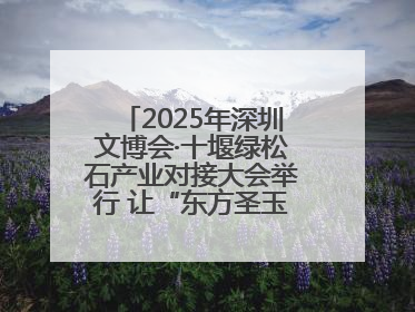 2025年深圳文博会·十堰绿松石产业对接大会举行 让“东方圣玉”闪耀世界