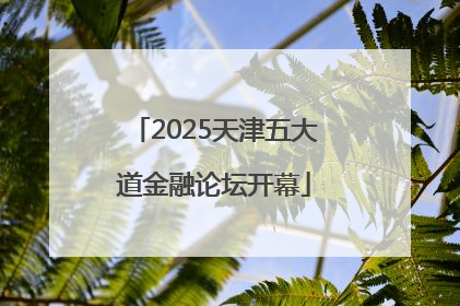 2025天津五大道金融论坛开幕