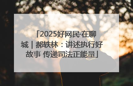 2025好网民·在聊城｜郝轶林：讲述执行好故事 传递司法正能量