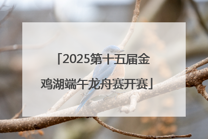 2025第十五届金鸡湖端午龙舟赛开赛