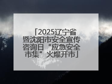 2025辽宁省暨沈阳市安全宣传咨询日“应急安全市集”火爆开市