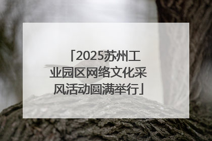 2025苏州工业园区网络文化采风活动圆满举行
