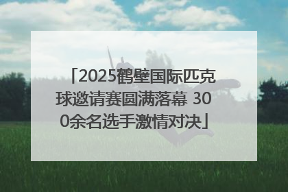 2025鹤壁国际匹克球邀请赛圆满落幕 300余名选手激情对决