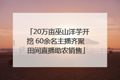 20万亩巫山洋芋开挖 60余名主播齐聚田间直播助农销售