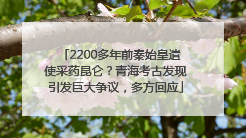 2200多年前秦始皇遣使采药昆仑？青海考古发现引发巨大争议，多方回应