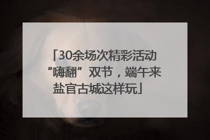 30余场次精彩活动“嗨翻”双节，端午来盐官古城这样玩
