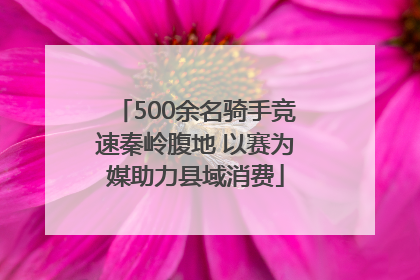 500余名骑手竞速秦岭腹地 以赛为媒助力县域消费