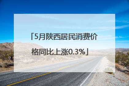 5月陕西居民消费价格同比上涨0.3%