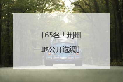 65名！荆州一地公开选调