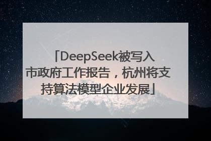 DeepSeek被写入市政府工作报告，杭州将支持算法模型企业发展