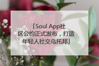 Soul App社区公约正式发布，打造年轻人社交乌托邦
